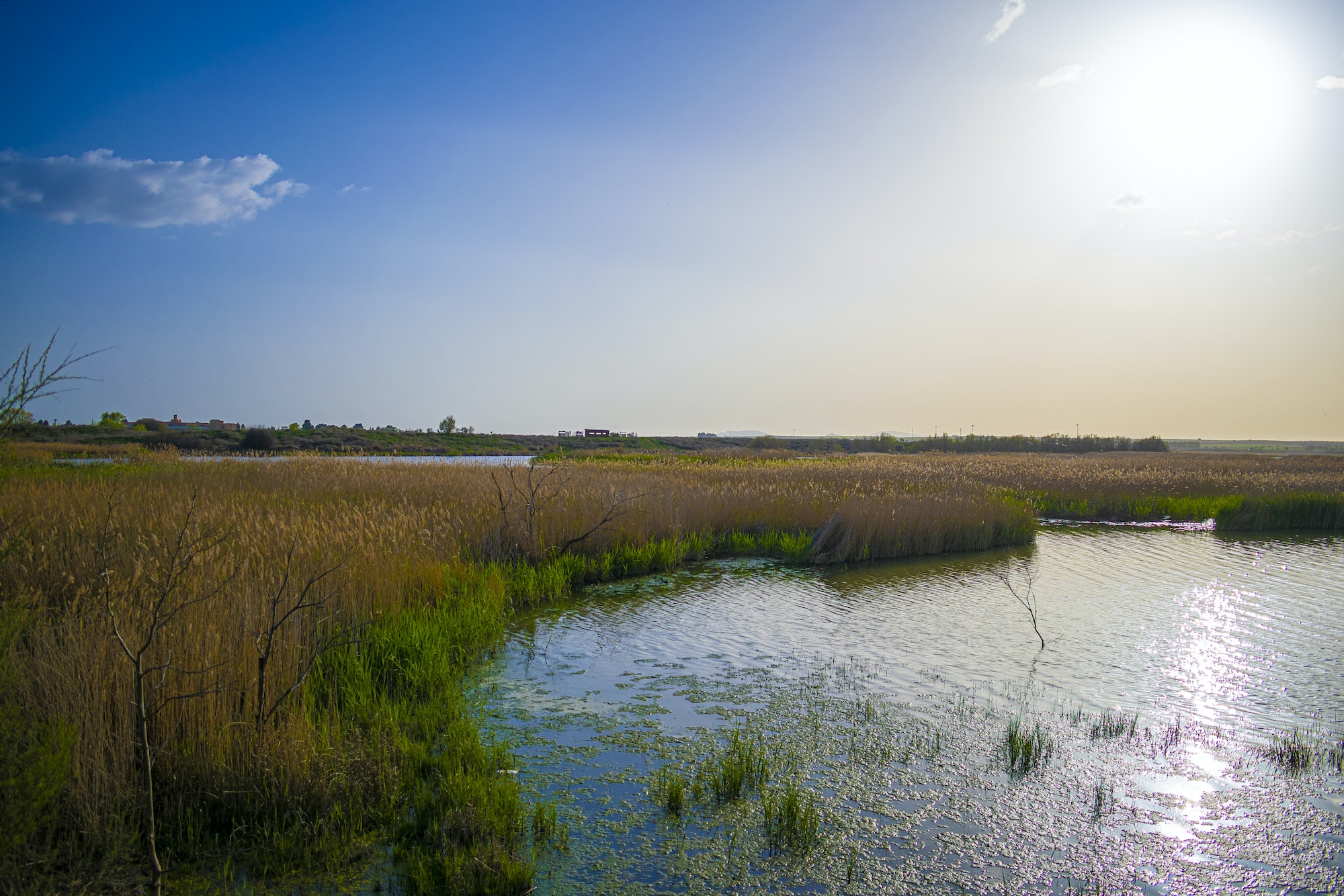 Beautiful sunrise at Potter Marsh Wildlife Viewing Boardwalk, Anchorage, Alaska, USA