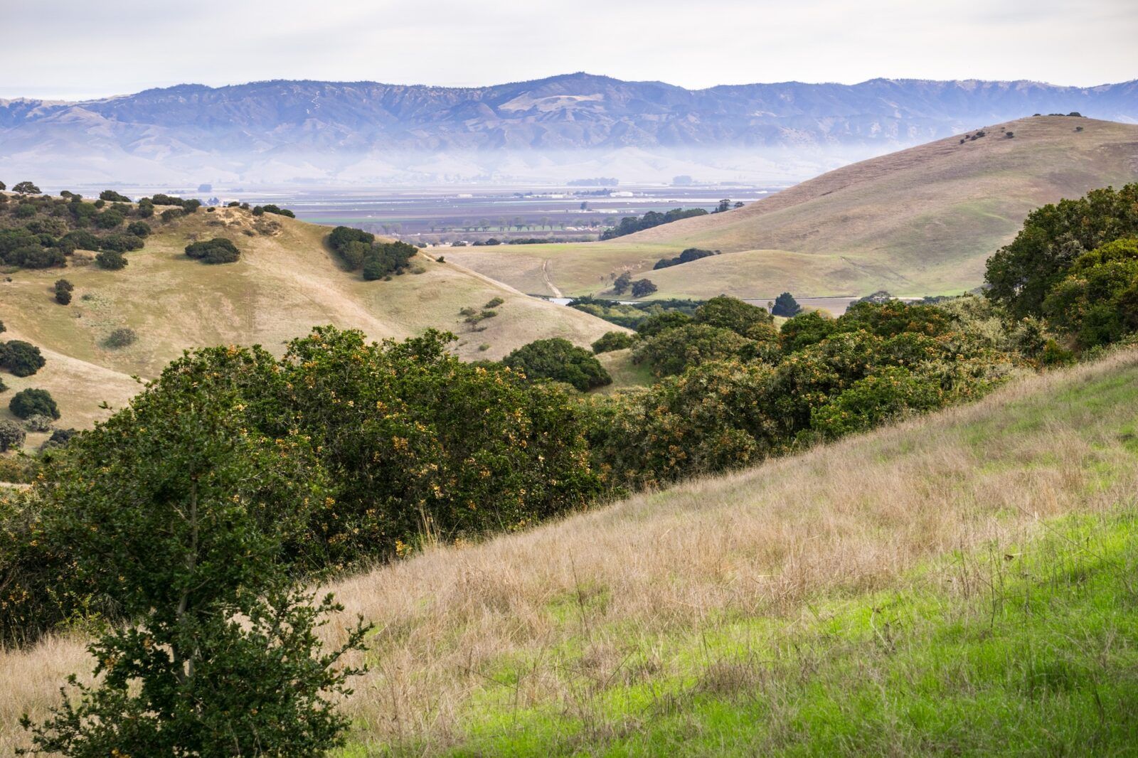 Landscape in Fort Ord National Monument, Salinas, California