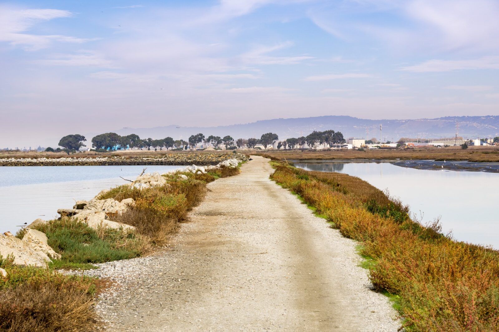 Levee on the marshes of East San Francisco bay, Hayward, California