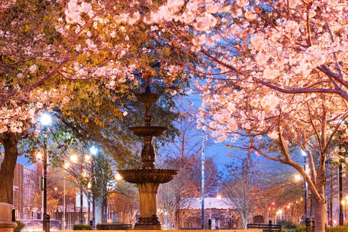 Macon, Georgia, USA downtown square in spring.