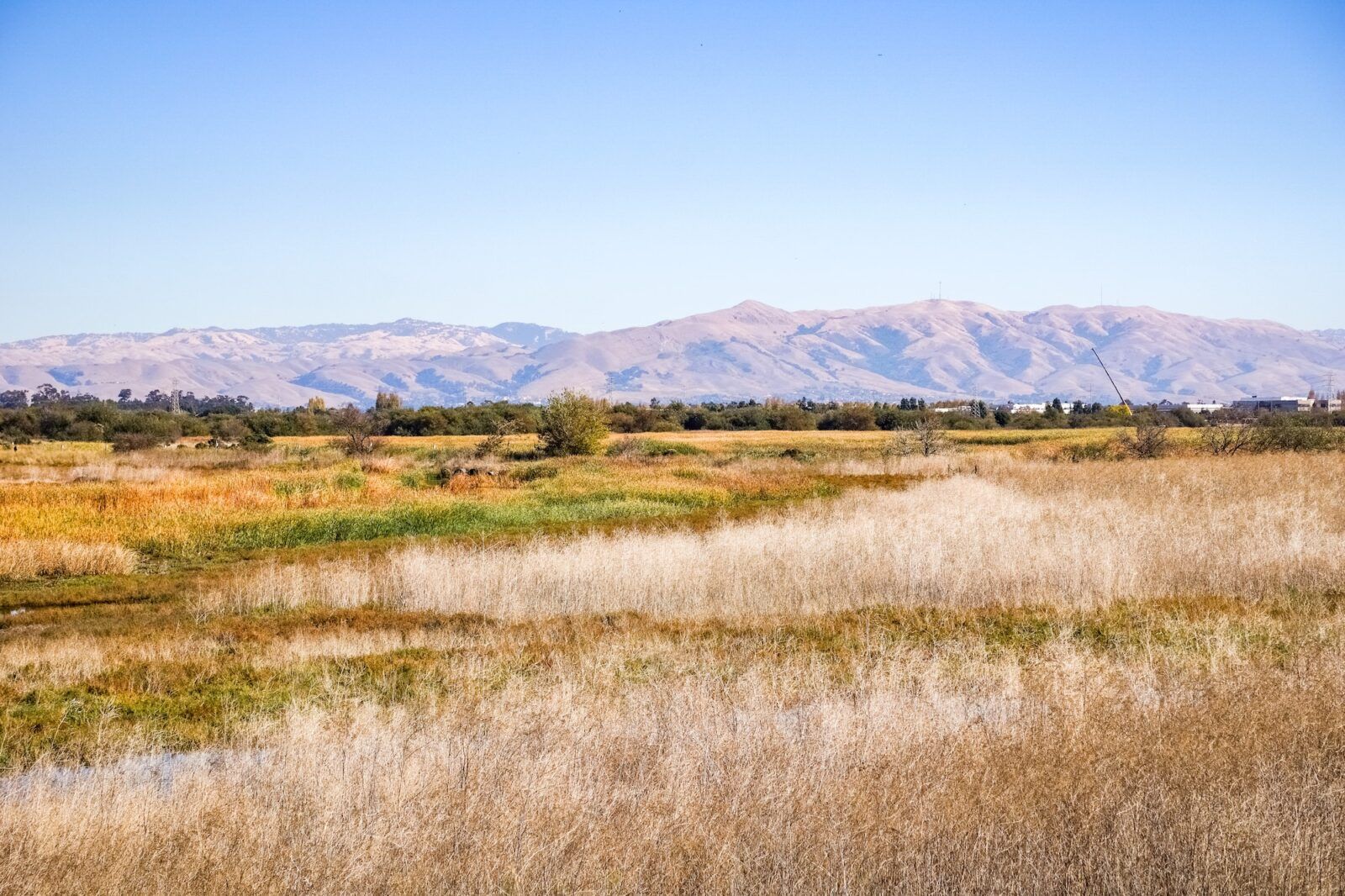 Marsh Landscape, Coyote Hills Regional Park, East San Francisco Bay Area, Fremont, California
