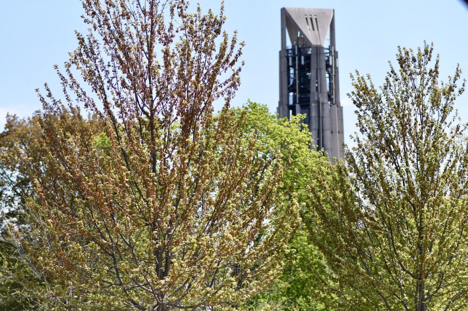 Moser Tower surrounded by greenery under sunlight in Naperville in Illinois