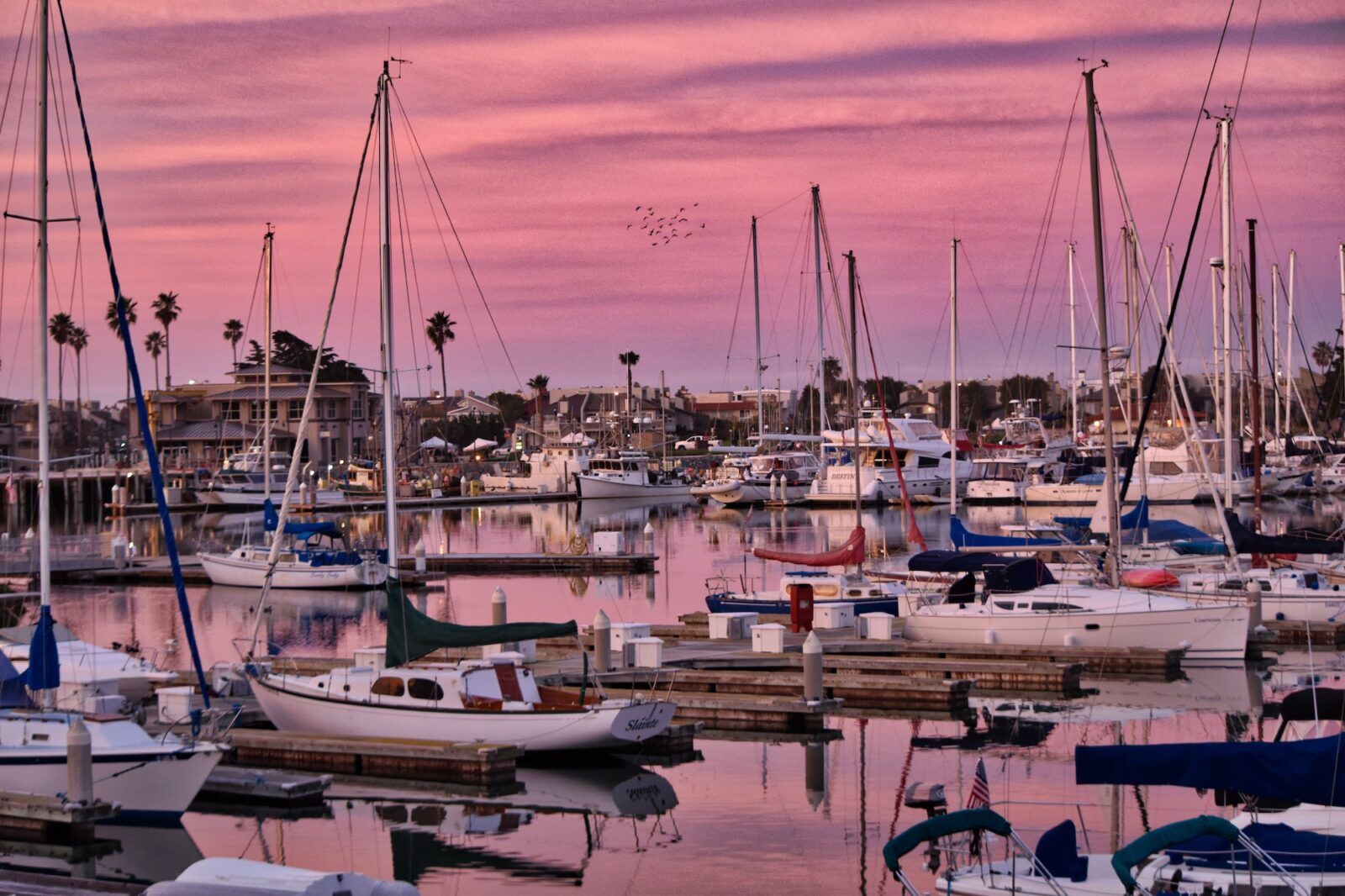 Pink sunrise over a crowded marina filled with recreational boats in Oxnard California