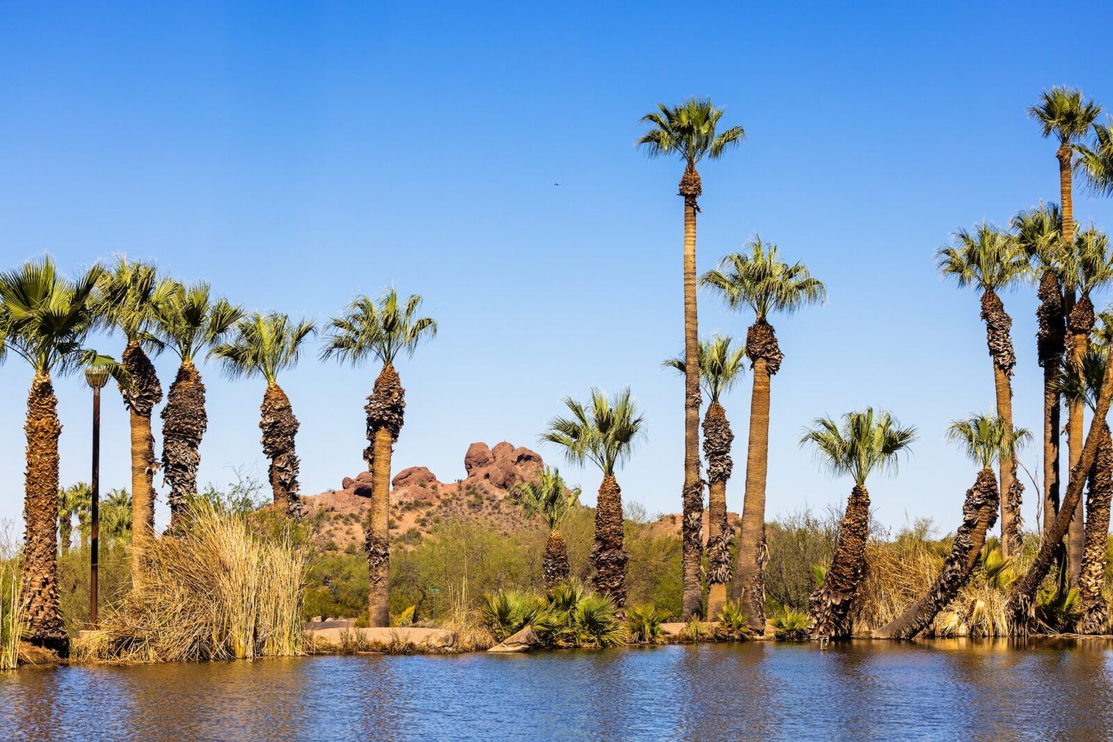 Pond in Papago Park - Tempe Arizona USA