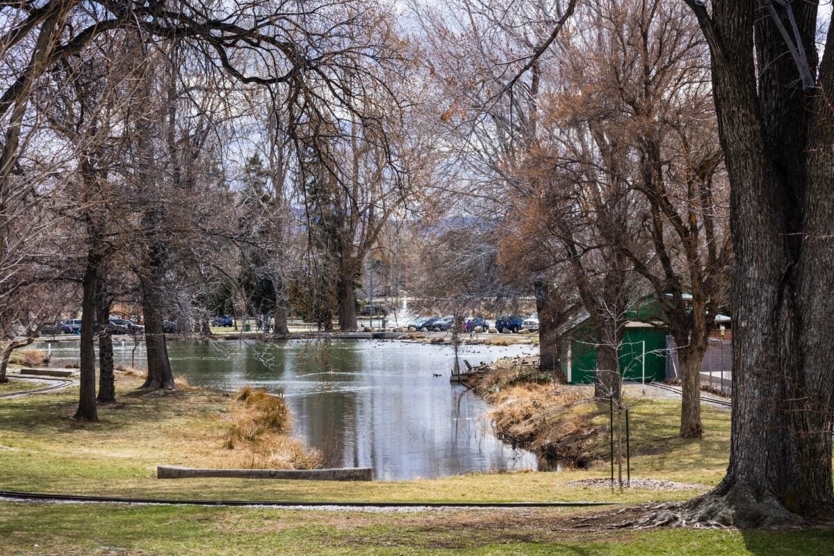 Pond surrounded by large trees in Idlewild park, near downtown Reno, Nevada