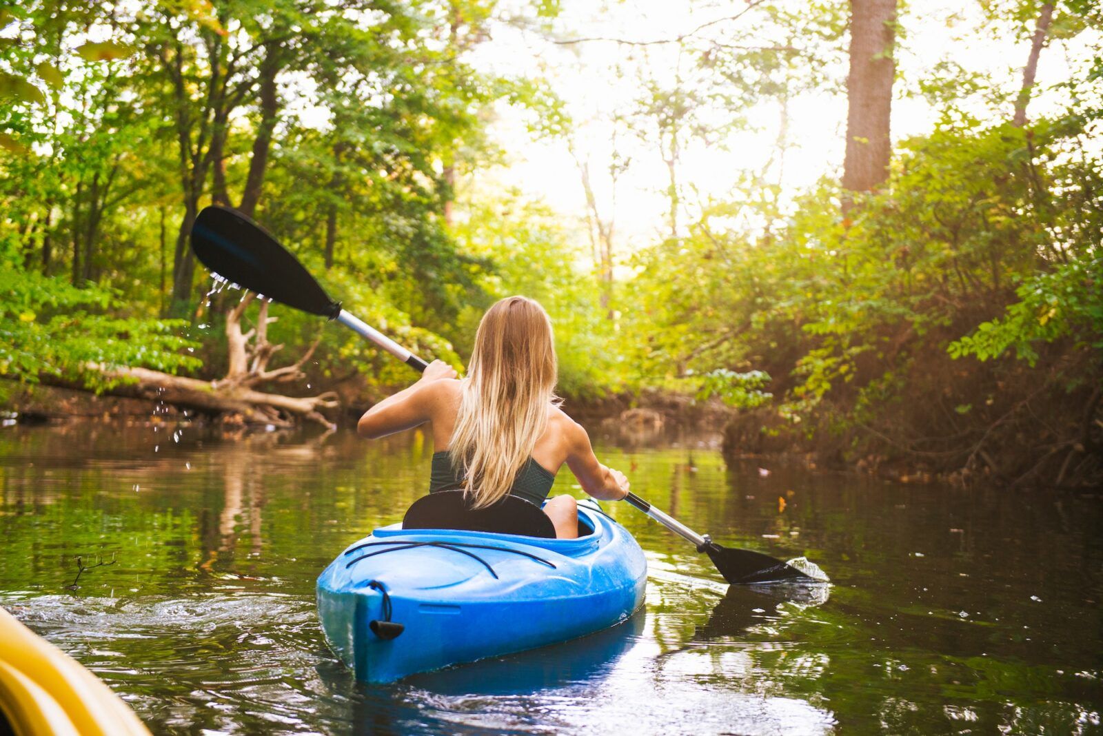 Rear view of young woman kayaking on forest river, Cary, North Carolina, USA