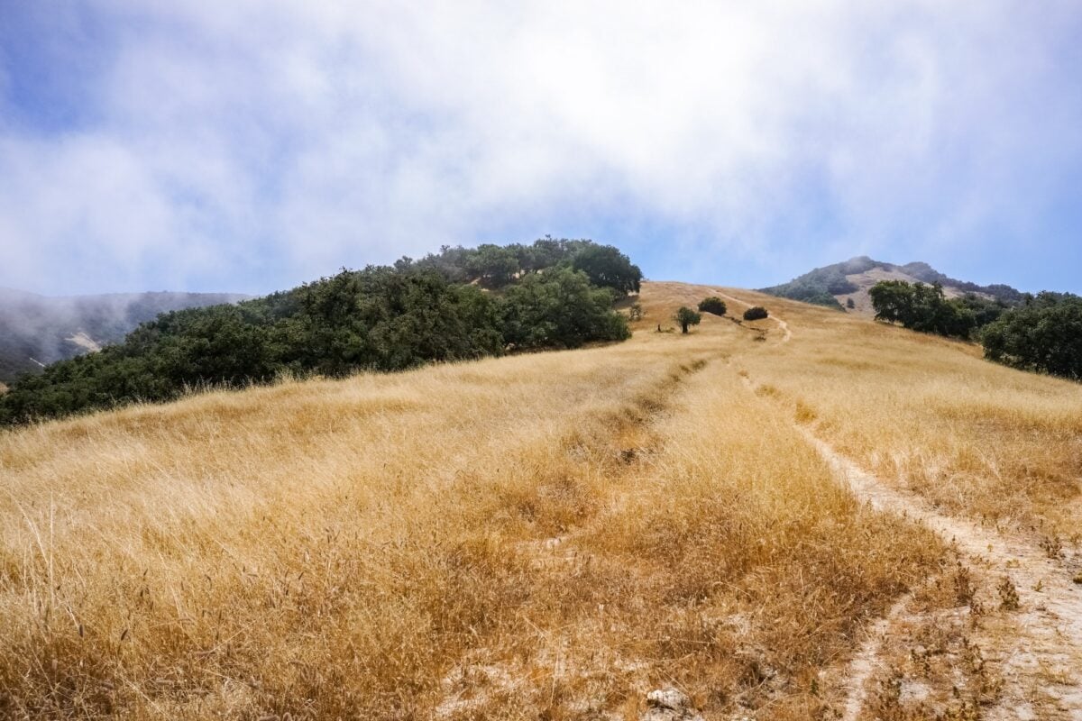 Retreating fog on the trails of Toro Park, Salinas, California