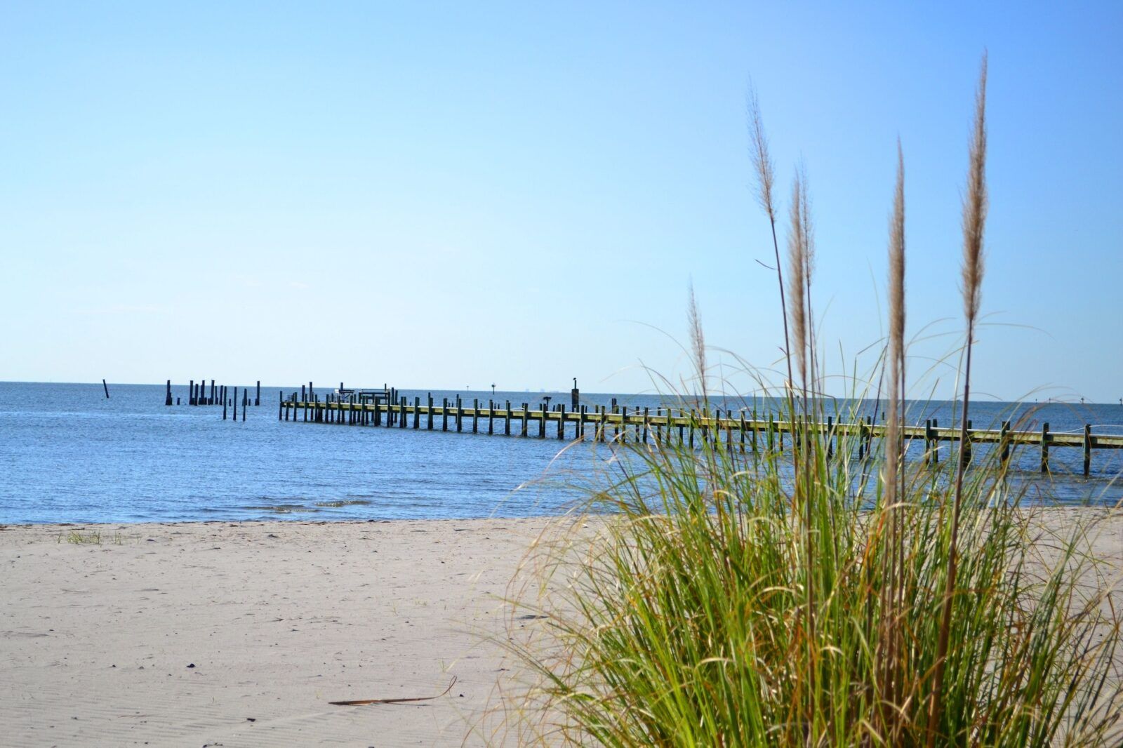 Sea grass in sand with the Chesapeake Bay and pier dock in the background