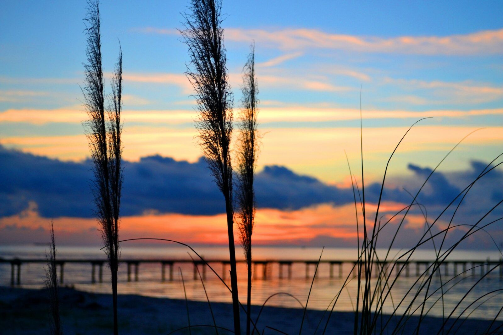 Sunrise or sunset on the Chesapeake Bay, VA with sea grass silhouetted