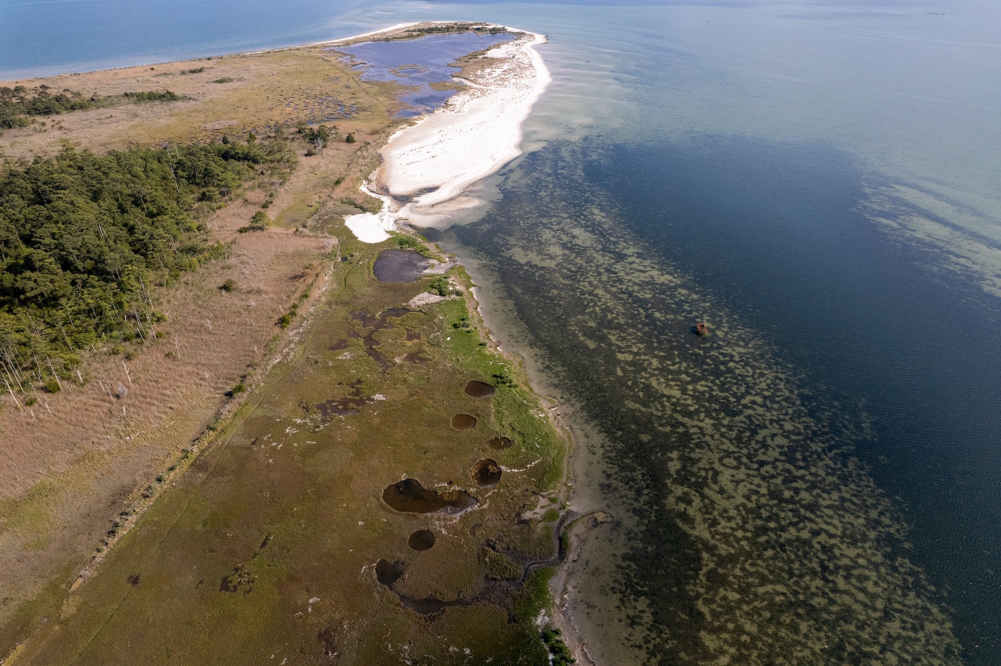 The shore meets the pristine waters of the Chesapeake Bay in Virginia