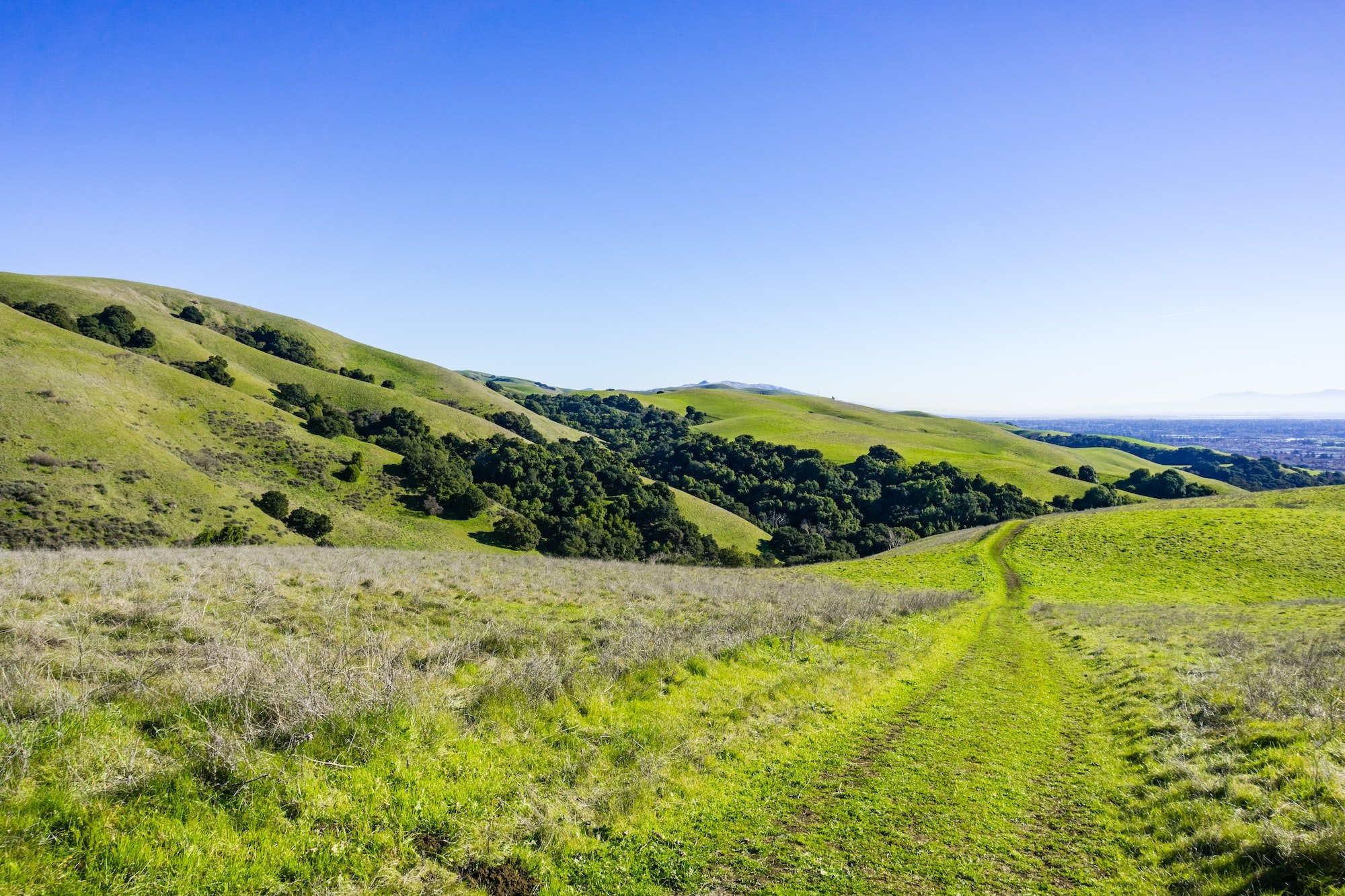 Trails on the verdant hills of east bay, San Francisco bay area, Hayward, California