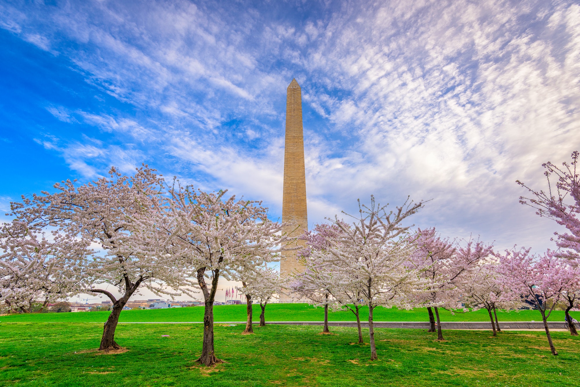 Washington DC in Spring