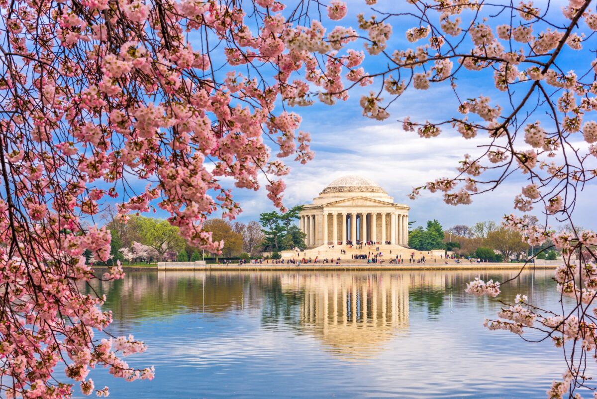 Washington DC Spring