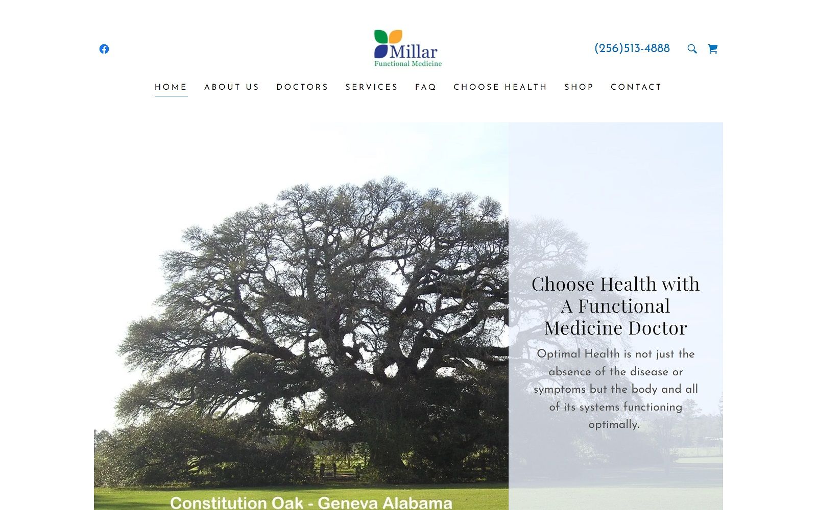 millarfunctionalmedicine.com screenshot