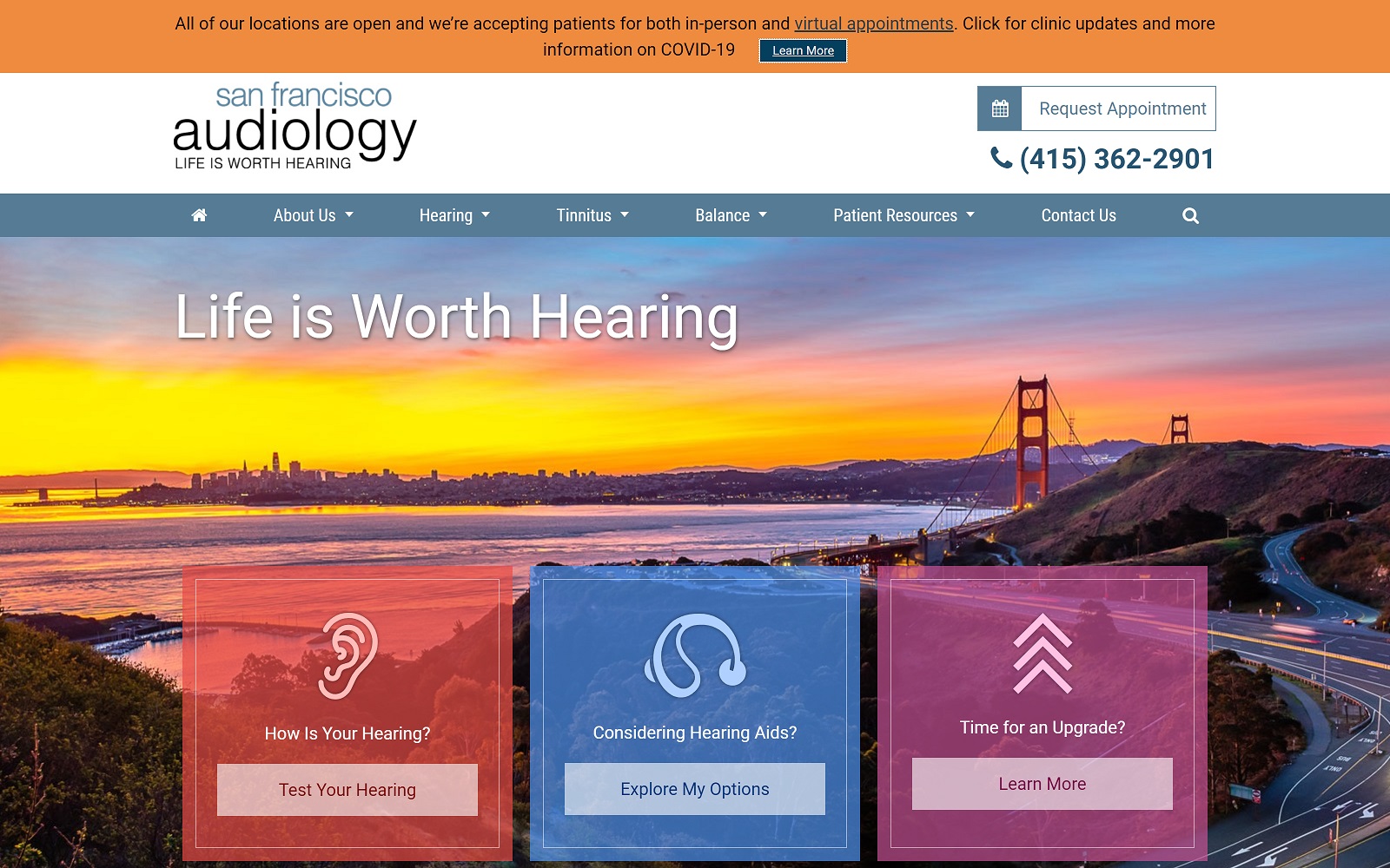 sfaudiology.com screenshot