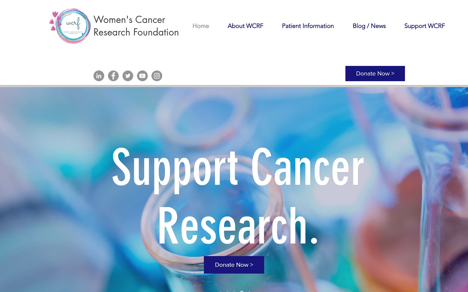 womenscancerfoundation.com screenshot